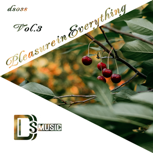 Promise (Orchestral Mix)