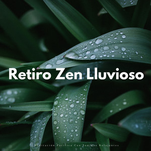 Reflexiones Lluviosas Meditativas