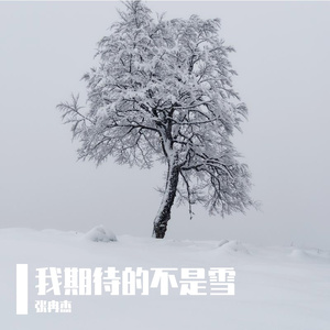 我期待的不是雪