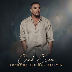 Kurumuş Bir Dal Gibiyim