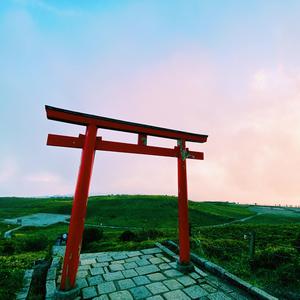 momomo (bonus_track)