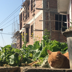 Pretty girl（prod.Lakewavebeatz）