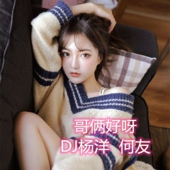 社会甩手摇 (DJ版)