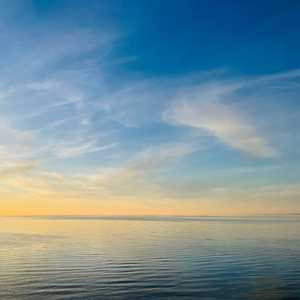 C. Saint-Saëns: The Carnival of the Animals, R.125: No. 13, The Swan