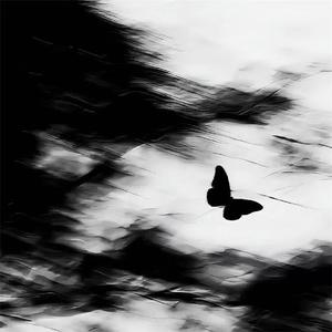 Waiting For（1.1x Speed）