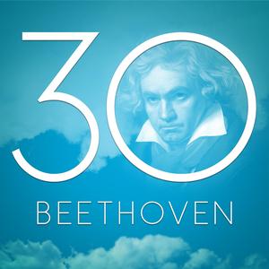 Symphony No. 3 in E-Flat Major, Op. 55, "Eroica": I. Allegro con brio