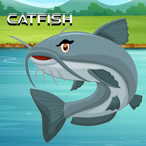 Catfish