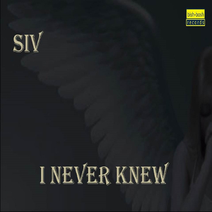I Never Knew