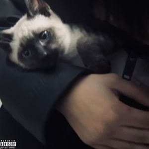 21（savage）