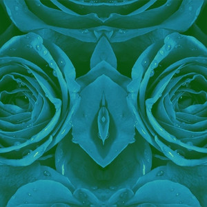 ❁ Saddest Rose ❁