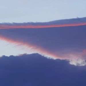 我说（发多了的0.0）