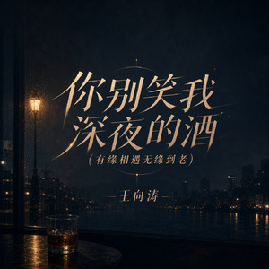 你别笑我深夜的酒(有缘相遇无缘到老)