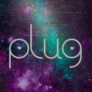 Plug