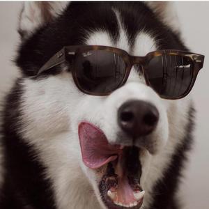 2022.03.28-16.22.20-下午 1