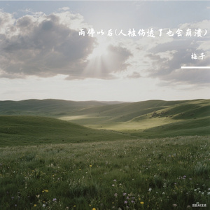雨停以后(人被伤透了也会崩溃)