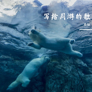 写给远方的周游