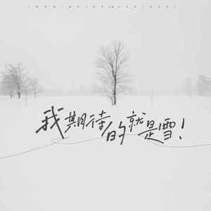 我期待的就是雪
