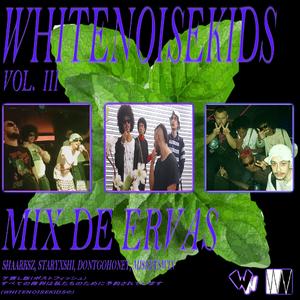 MIX DE ERVAS (feat. shaarksz, STARYXSHI, dontgohoney & miseryswin)