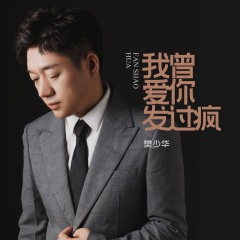 我曾爱你发过疯