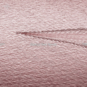 Sleep Waves