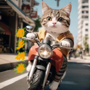 回乡偶卷