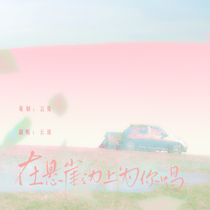 在悬崖边上为你唱