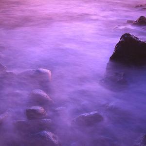 凤凰台上忆吹箫