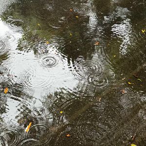 雨渍
