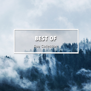 Tranquil Binaural Sounds