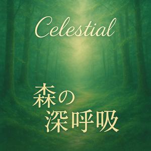 木漏れ日の記憶