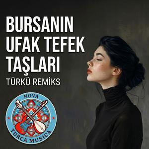 Bursanın Ufak Tefek Taşları