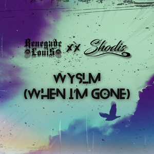 WYSLM (When Im Gone)