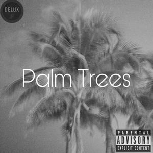 Palm Trees (feat. JLN)