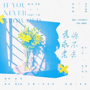 若你永不老去