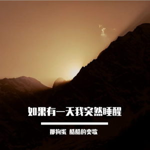 如果有天我突然醒来