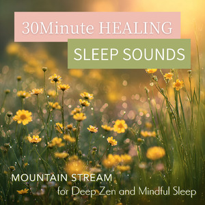 眠りの浅い貴方のための快眠音楽 1分で眠れるヒーリングギター (自律神経を整える睡眠用 森 鳥)