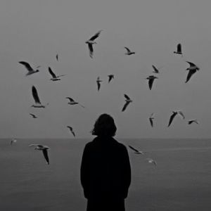 风雨同舟一路走（舞曲）