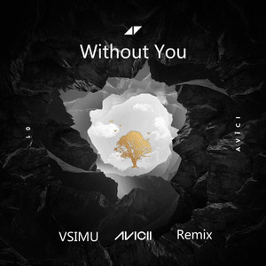 Without You (Vsimu Remix)