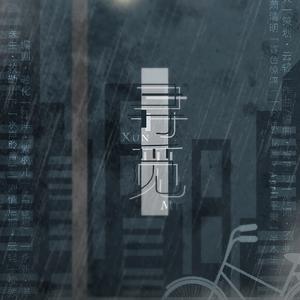 寻觅【剧情版】