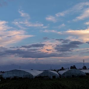 做个梦给你 伴奏
