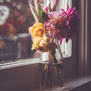 温暖的房子（lofi音乐）