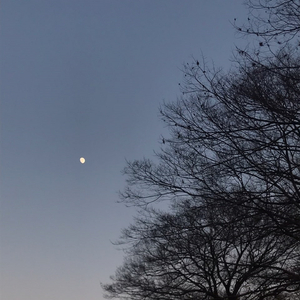 겨울 밤