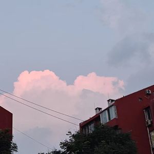 风会带走遗憾吗