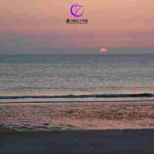 寒木春华 (圆号｜暖心曲)