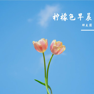 睡在星光里