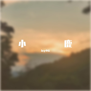 热闹的黄昏