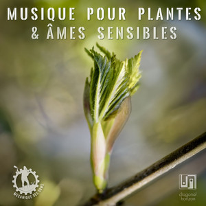 Ode aux fleurs
