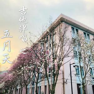 我不愿让你一个人