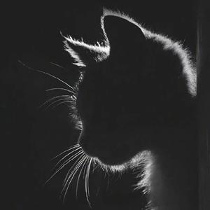 其实（DJ热播旋律）