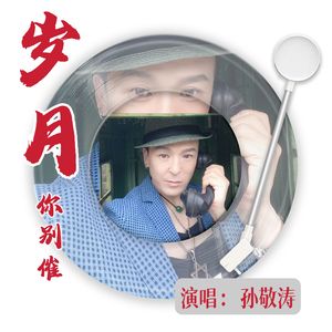 岁月你别催